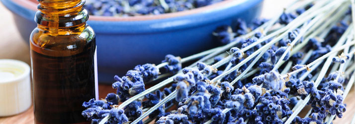 Essential-Oils-in-De-Pere-WI Essential Oils in De Pere WI